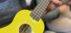 workshop ukelele op school