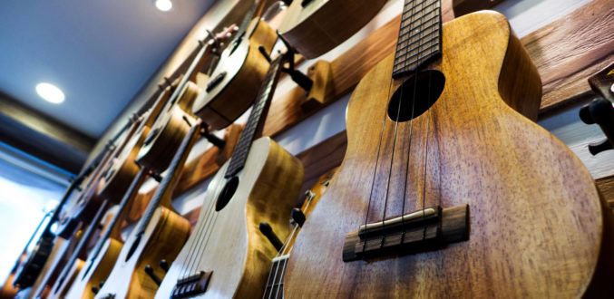 H_Ukelele Vrijgezellenfeest