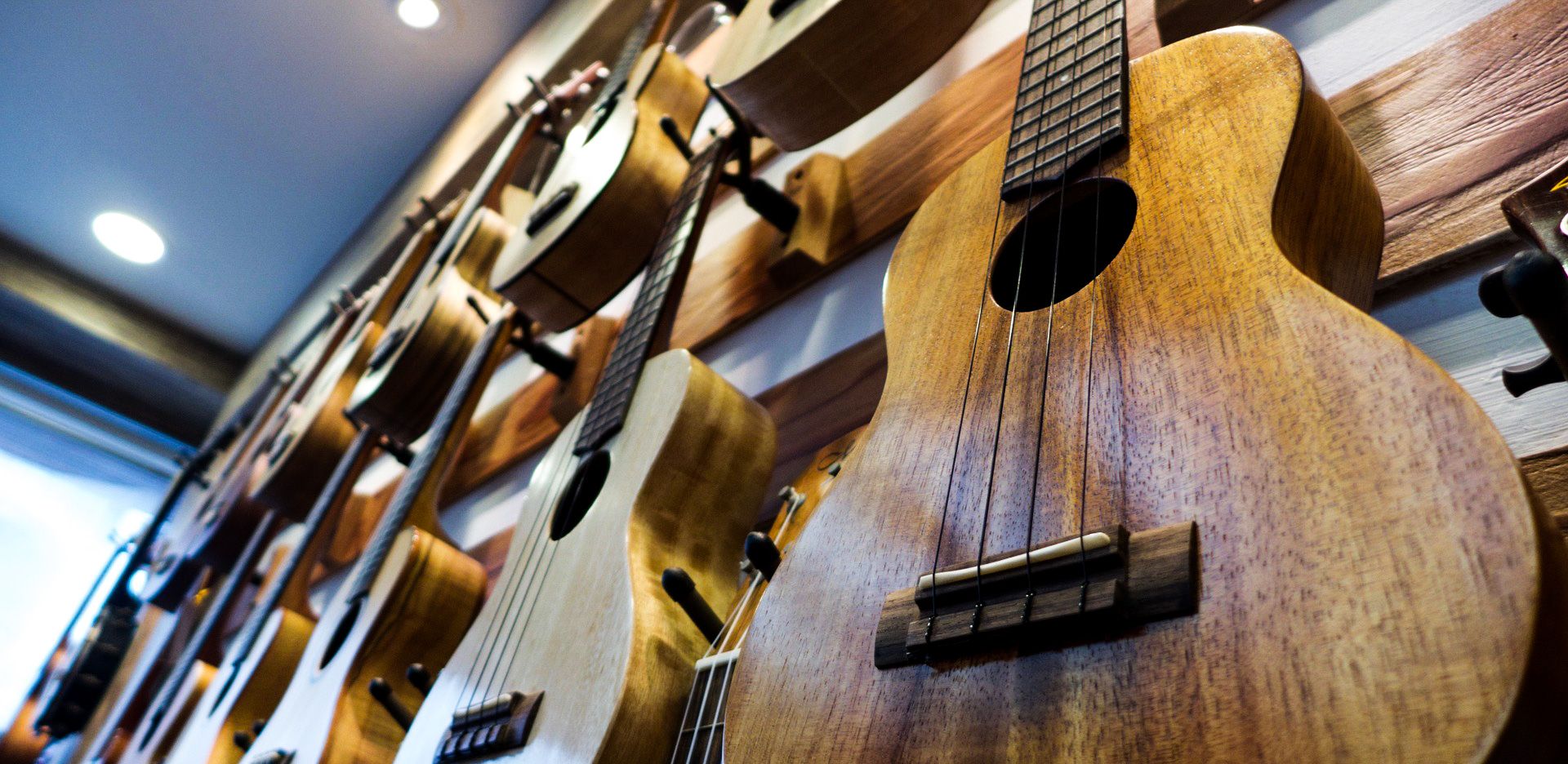 H_Ukelele Vrijgezellenfeest