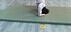 workshop acroyoga
